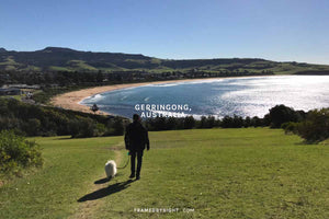 Visit Gerringong (with your dog!)