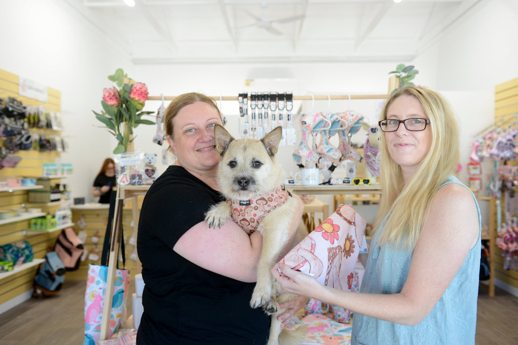 The Difference Between a Dog Pet Shop and Pet Boutique: Explained