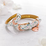 Some'Bud'y to Love - Flowers Dog Collar