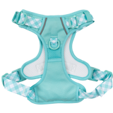 THE ALL-ROUNDER DOG HARNESS: Aqua