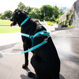 Quartz OG No-Pull Training Harness