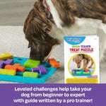 Brightkins Brain Teaser Interactive Dog Treat & Food Puzzle