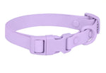 Waterproof Dog collar Purple