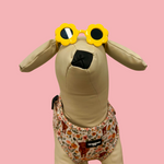 Sunglasses for Dogs & Cats - Flower