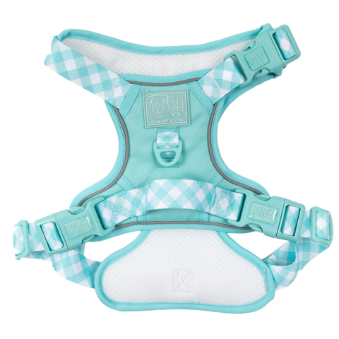 THE ALL-ROUNDER DOG HARNESS: Aqua