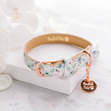 Some'Bud'y to Love - Flowers Dog Collar