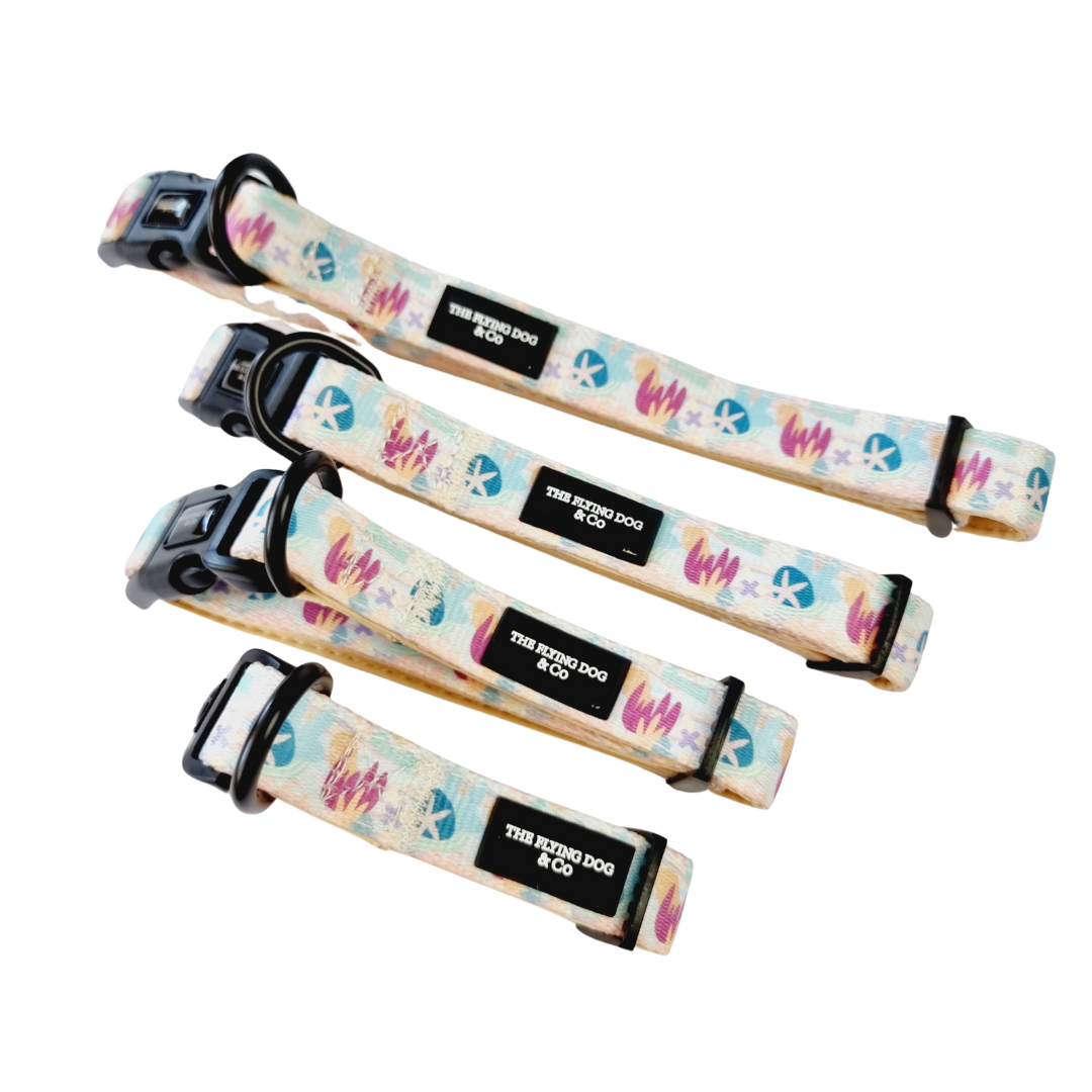 Flying dog collars hotsell